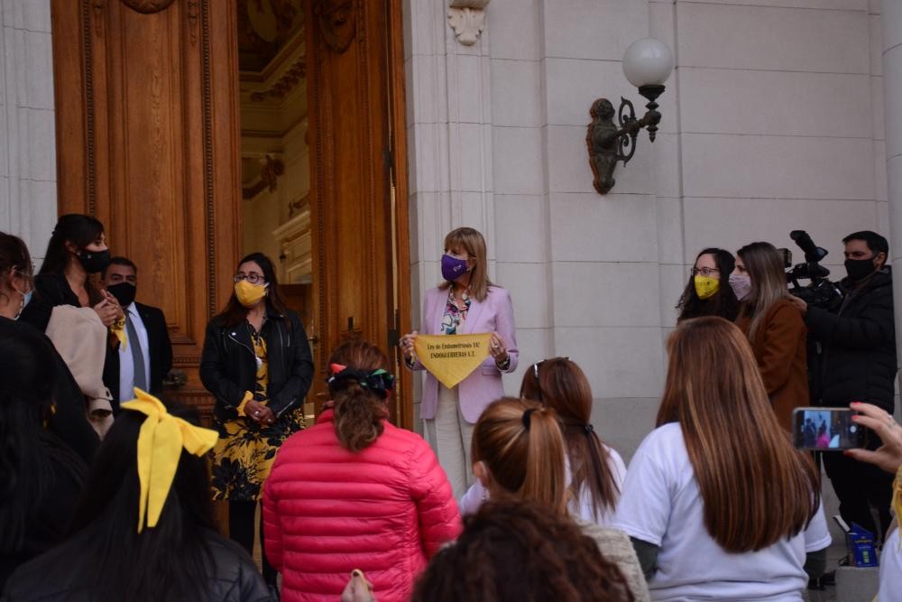 Piden a la provincia que reglamente la Ley de Endometriosis | Información General