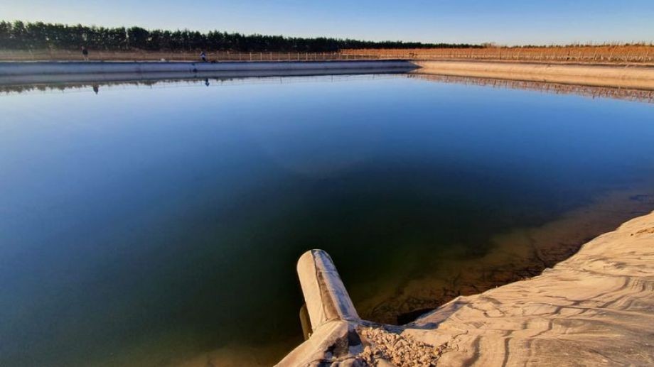 Hallan muerta a una pareja dentro de un piletón de riego: habrían intentado rescatar a un perro | Información General