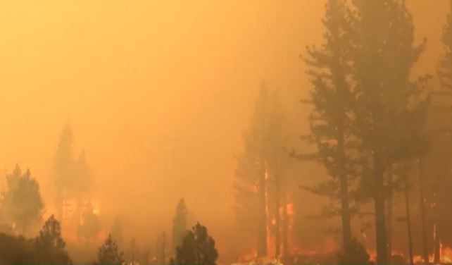 Avanzan los incendios en el oeste de Estados Unidos y acusan a una compañía eléctrica | Internacionales