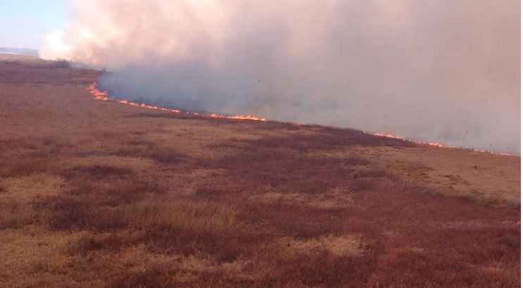 Realizan operativos aéreos y náuticos por nuevos incendios en las islas del delta del Paraná | Rosario y la región