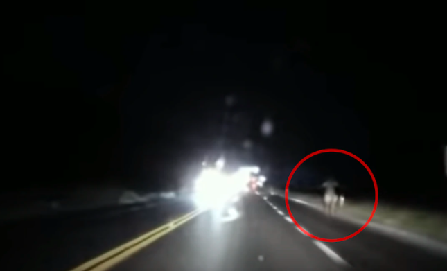 Video de terror: un hombre grabó en una ruta una imagen y todos creen que es "La Llorona" | Tecnología