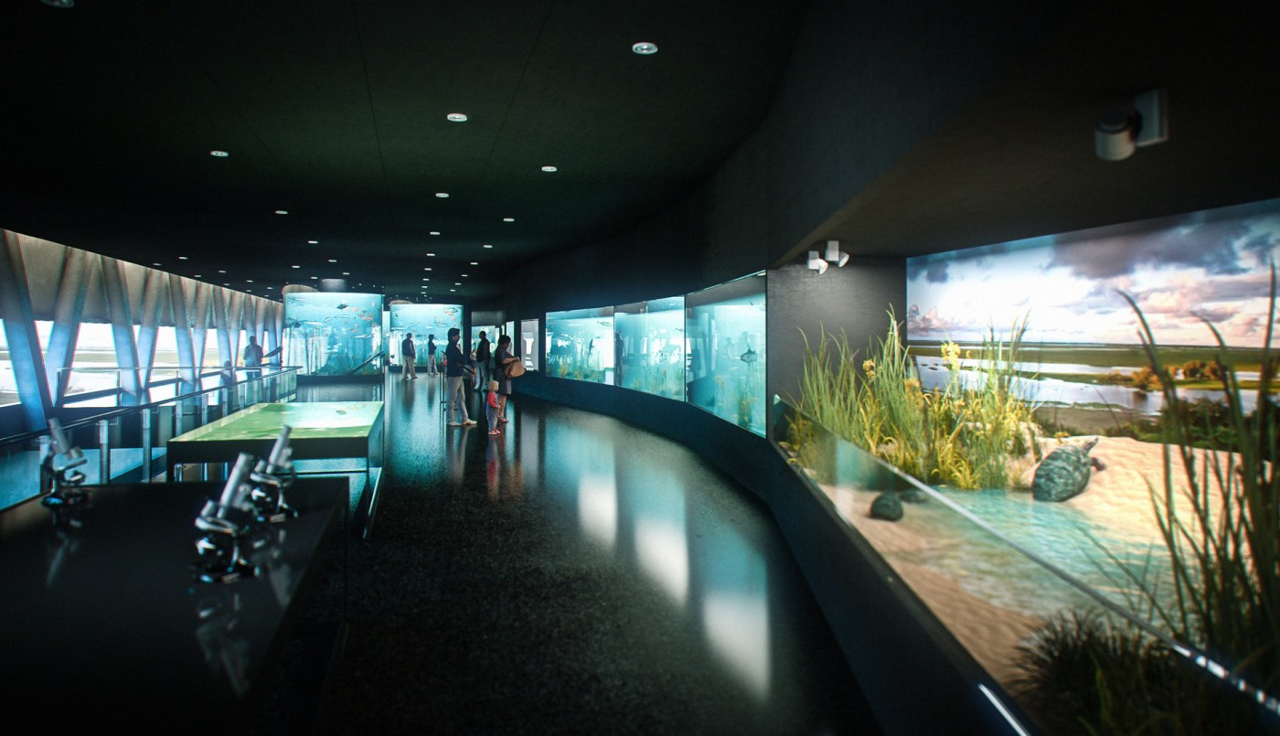 El Acuario del Río Paraná reabre sus puertas al público | Rosario y la región