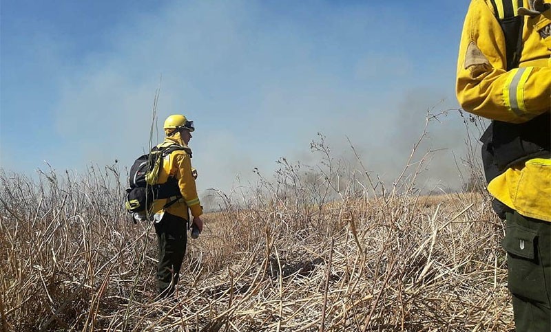 Fuego en las islas: la Brigada Forestal se sumó al combate | Rosario y la región