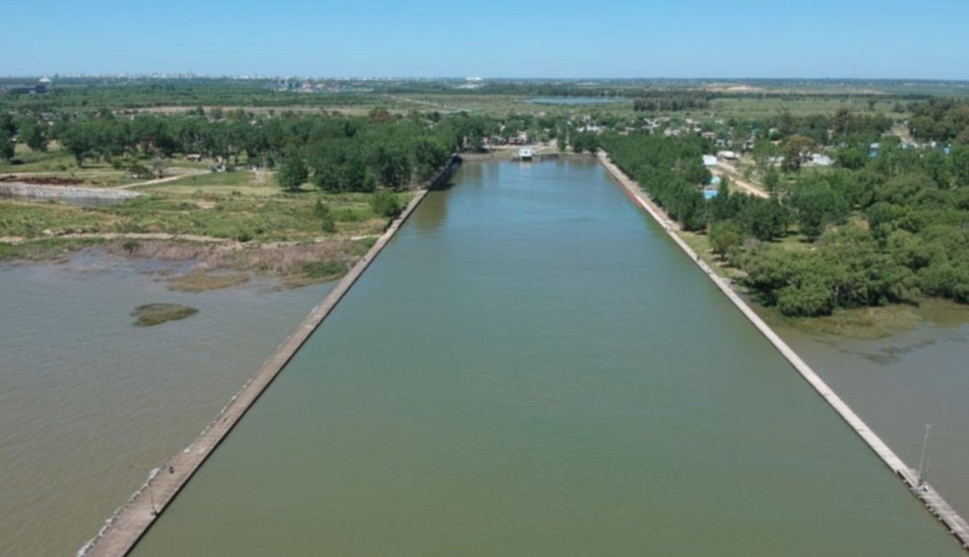 Por la presencia de un tipo de alga redujeron el servicio de agua potable en La Plata | Tecnología