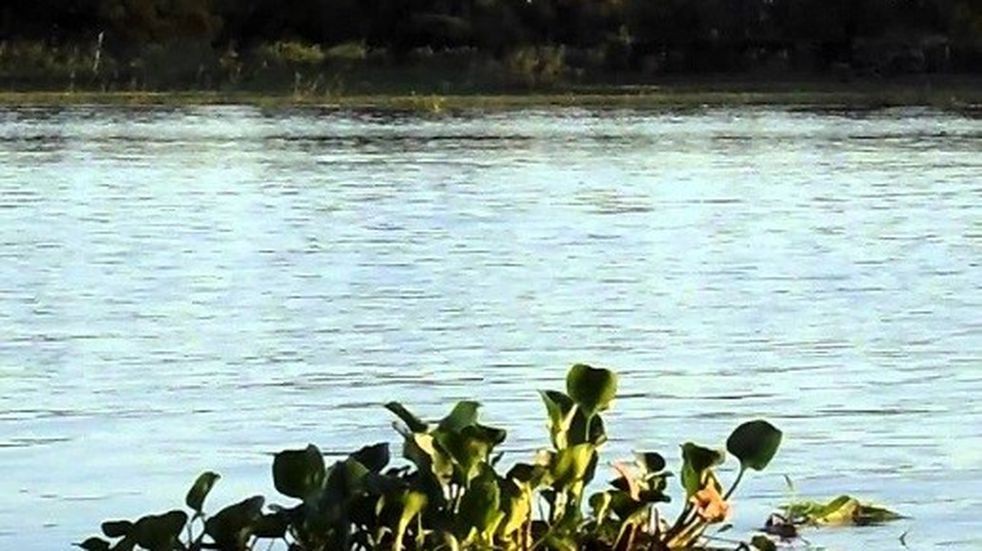 Hallan muerto en Arroyo Leyes a un nene que había caído al río con su hermano | Rosario y la región