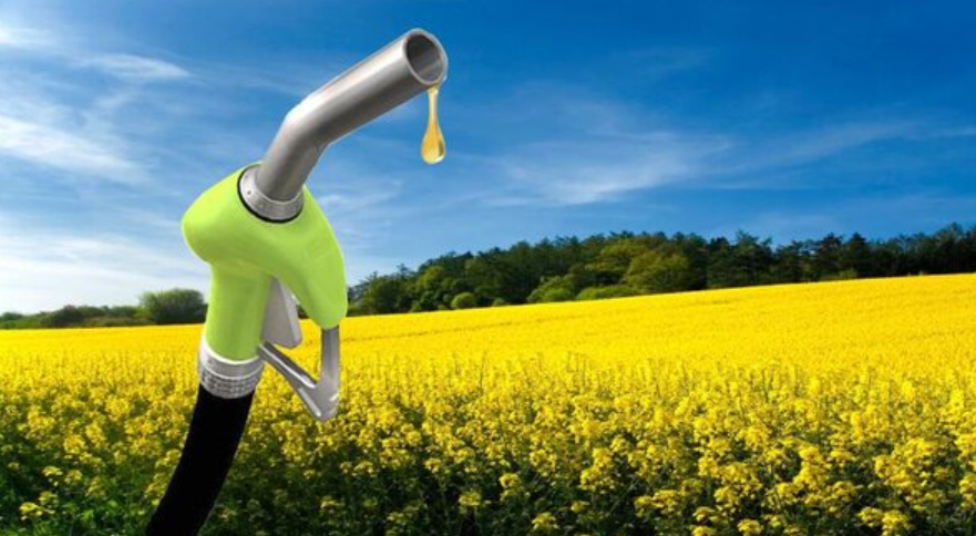 Oficializaron los aumentos en los precios del bioetanol y el biodiesel | Información General