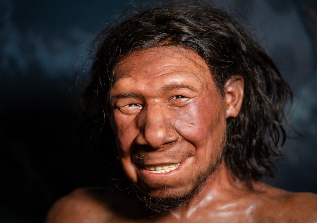 Reconstruyeron la cara de un neandertal que vivió hace más de 50.000 años | Tecnología