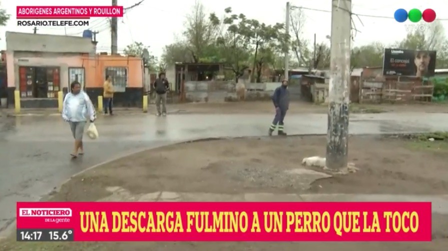 Un perro murió electrocutado en Aborigenes Argentinos y Rouillon | Rosario y la región