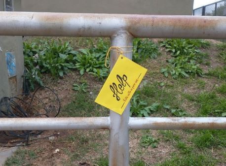 Septiembre amarillo: campaña para concientizar que el suicidio puede prevenirse | Información General