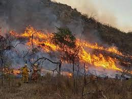 Córdoba, Catamarca, La Rioja, Jujuy, San Luis y Tierra del Fuego registran incendios forestales | Información General