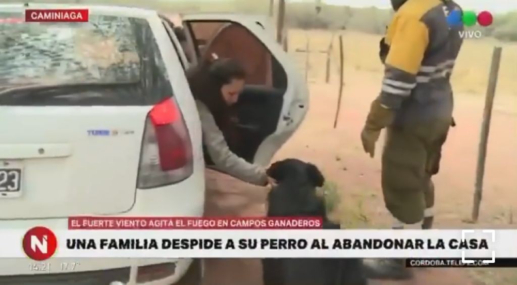 Video: El desgarrador momento en que una familia se despide de su perro entre el fuego | Información General