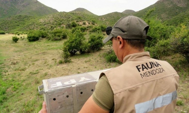 Excluyen a cinco guardaparques por copiarse en un concurso público | Información General