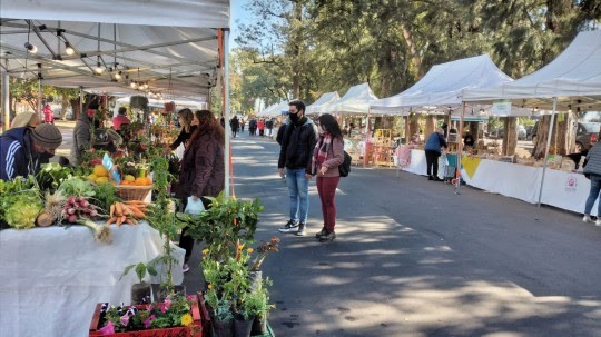 Las ferias de Economía Social invitan a encontrar el mejor obsequio para mamá | Rosario y la región