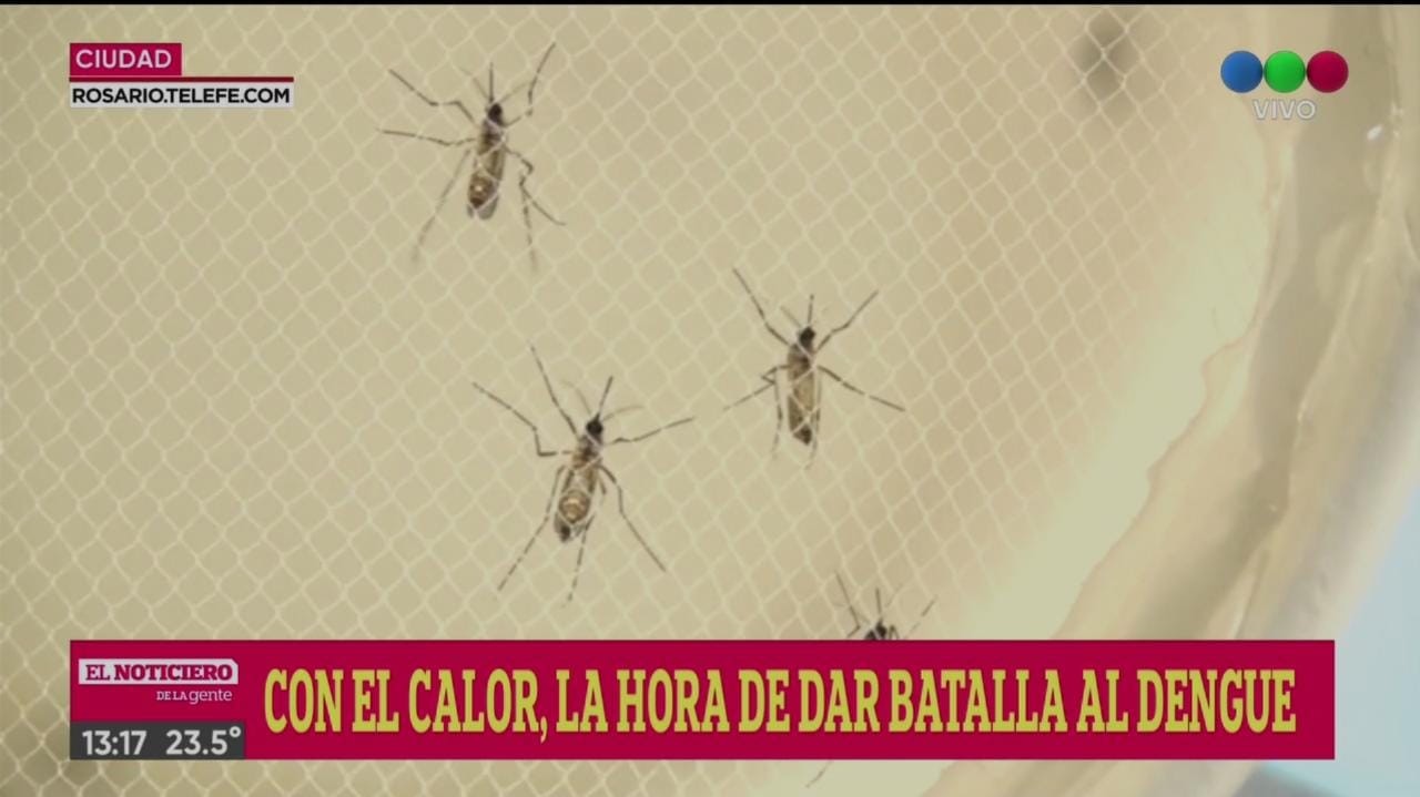 Comenzaron los operativos de prevención del dengue en Rosario | Rosario y la región