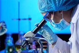 Alertan que se adelantó en diez años la resistencia bacteriana a los antibióticos | Información General