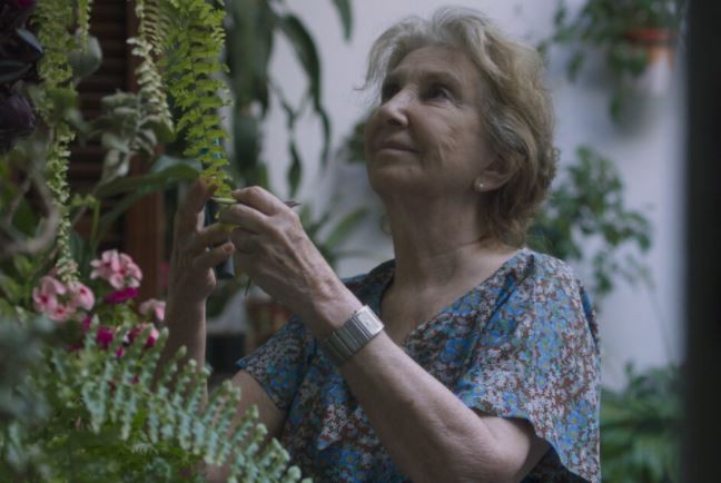 Se estrena "El secreto de Maró", sobre la memoria del genocidio armenio y el legado a las nuevas generaciones | Espectáculos