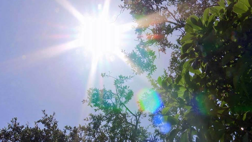 Se espera otro día sofocante en Rosario | Servicios