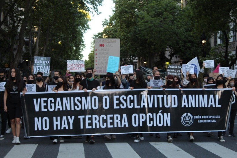 Veganos marcharon para visibilizar "la explotación que siguen padeciendo los animales" | Información General
