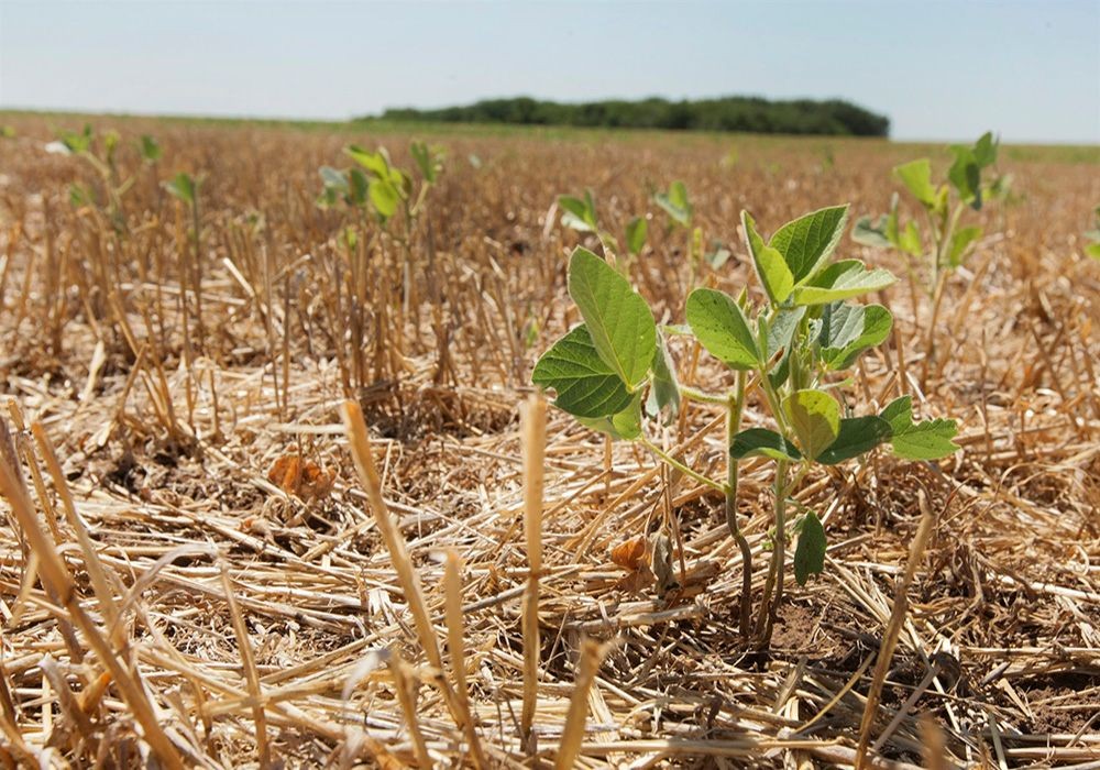 "La Niña": pronostican meses de calor y escasas lluvias | Servicios
