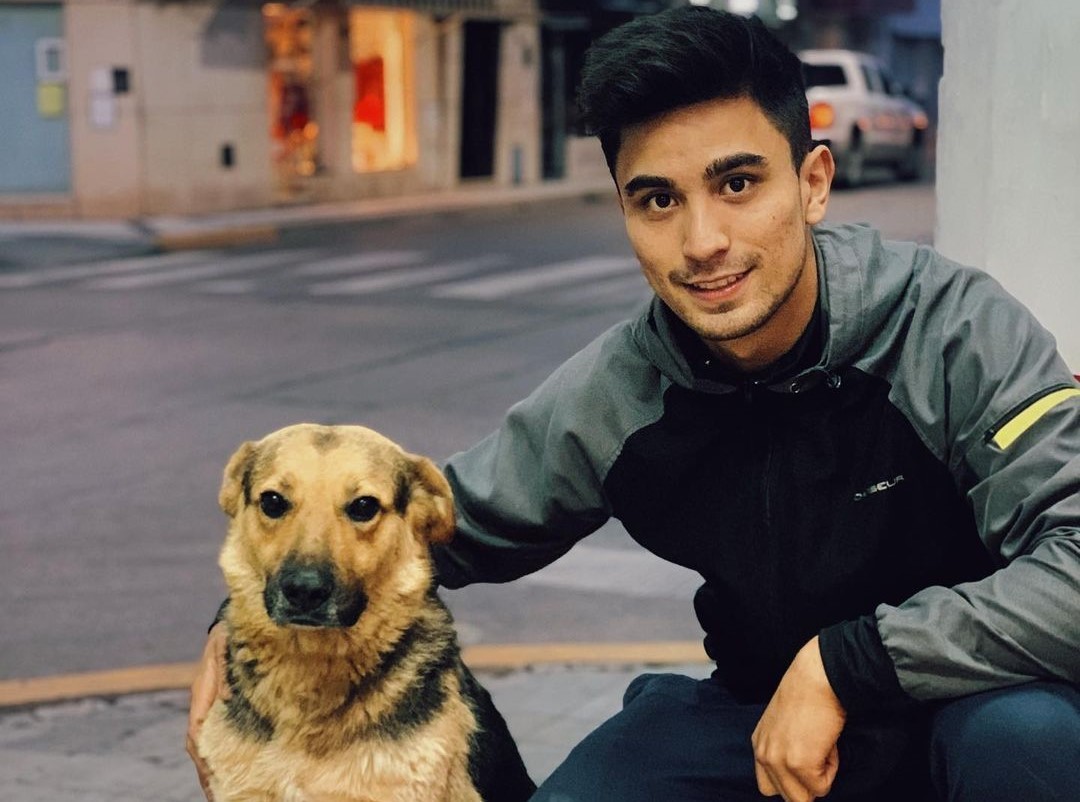 Paleta: el perro argentino que es furor en Tik Tok | Tecnología