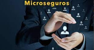 Microseguros: protección accesible para cualquier bolsillo | Economía y negocios