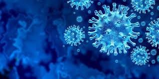 Detectaron 1.567 nuevos casos de coronavirus y Argentina superó los 5,3 millones de contagios | Información General