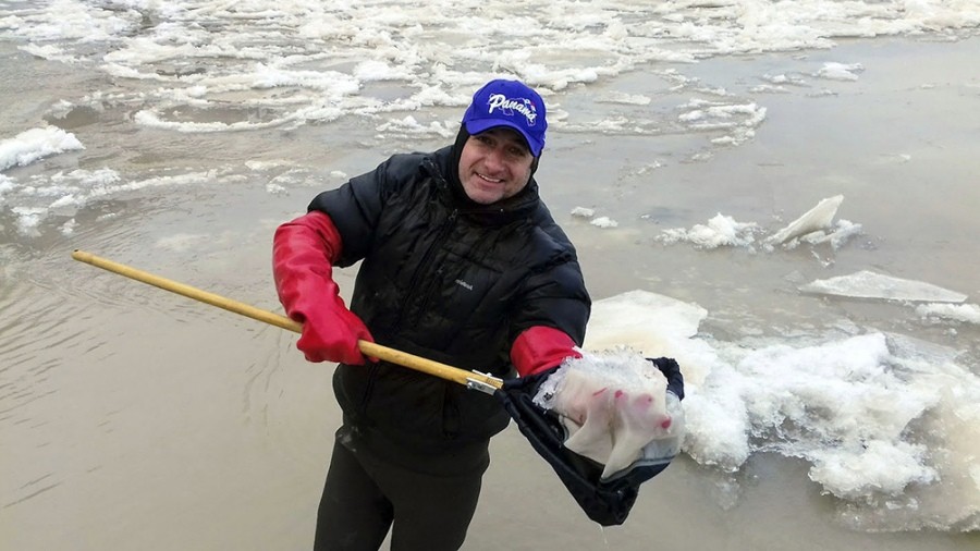 Preocupación en Río Negro y Neuquén por alga invasora que puede afectar a los peces | Internacionales