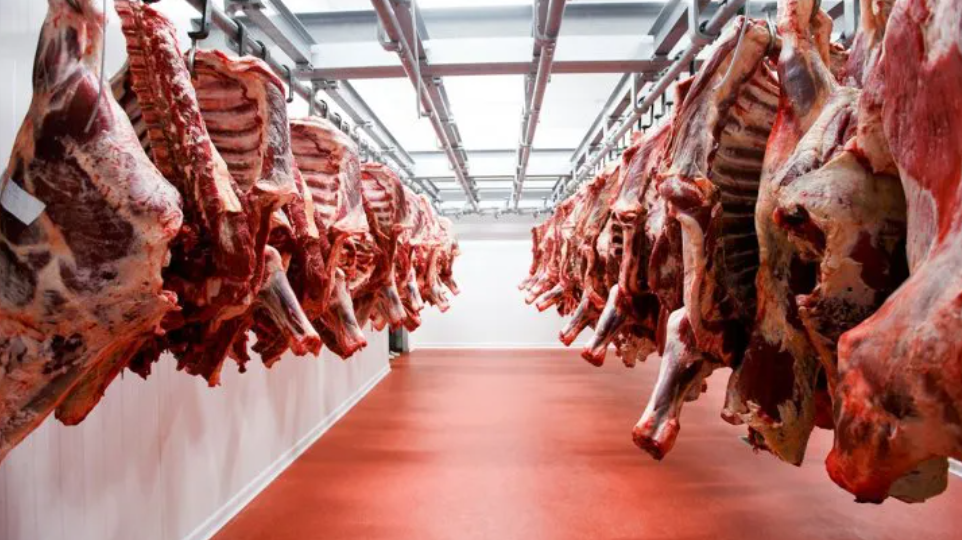 El precio de la carne vacuna bajó un 3% en los últimos 4 meses | Información General