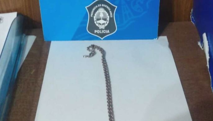 Detienen en La Plata a tres hermanos por robar en un comercio: tienen 15, 13 y 11 años | Información General