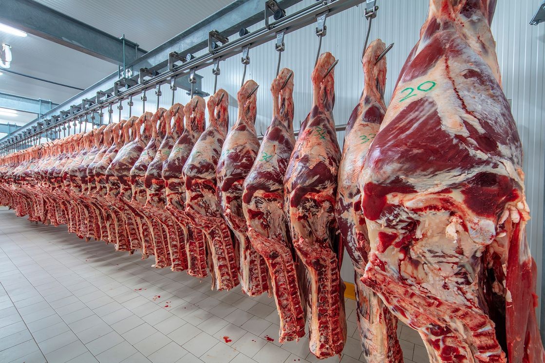 El Gobierno busca evitar nuevas subas en el precio de la carne | Información General