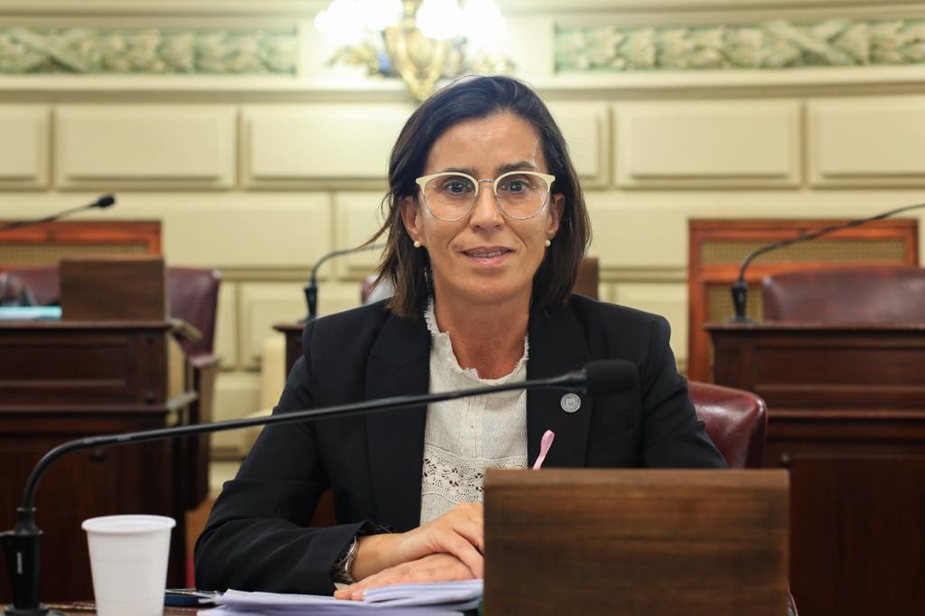 Diputados de Santa Fe aprobaron proyecto de “ficha limpia” para cargos electivos | Política