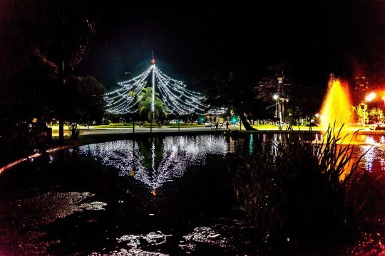 Desvíos del transporte urbano por encendido del árbol de Navidad en Oroño y Pellegrini | Servicios