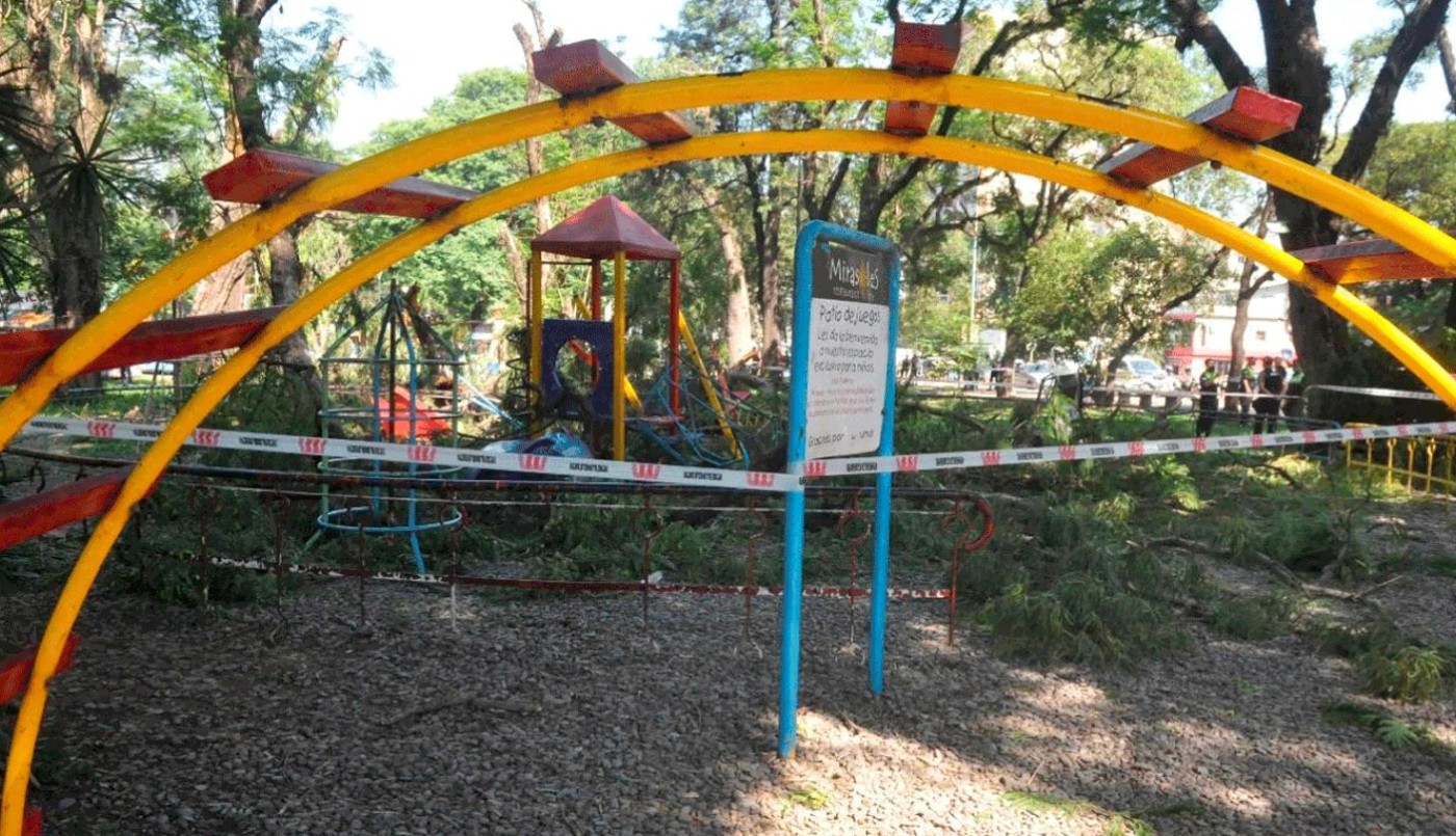 Tucumán: a una niña se le cayó un árbol encima en una plaza y está en terapia intensiva | Información General