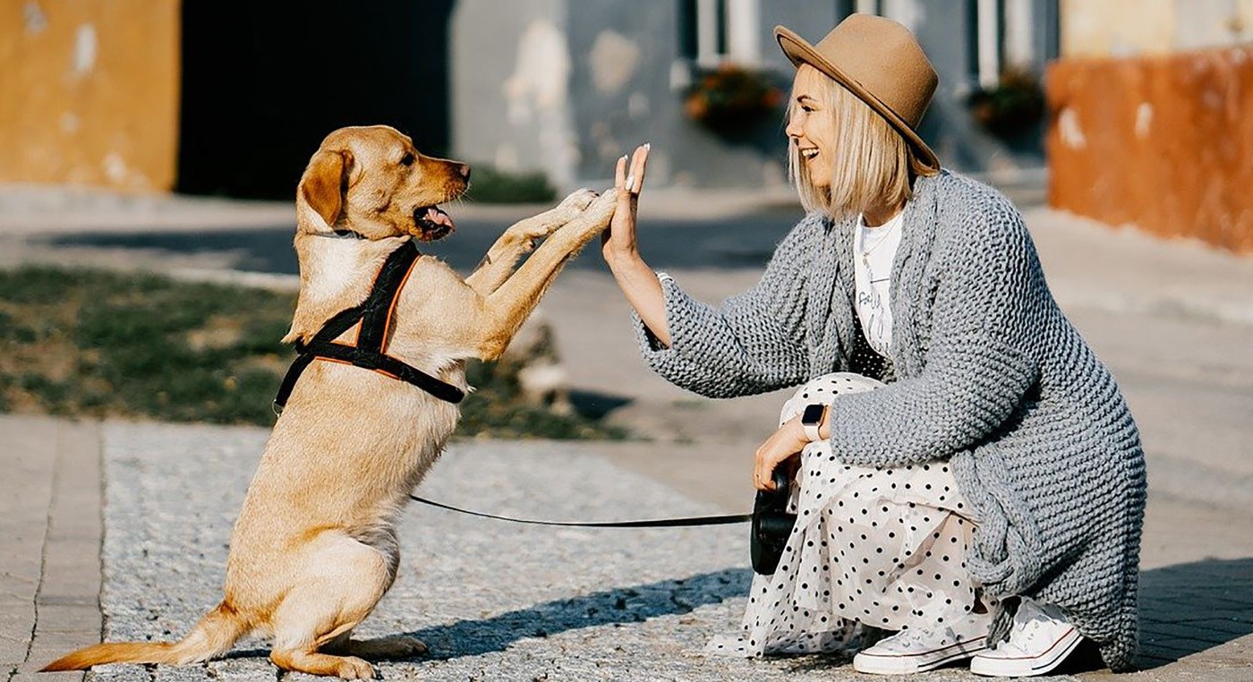 Se va de viaje en moto y lleva cinco perros. ¿Cómo hace? | Información General