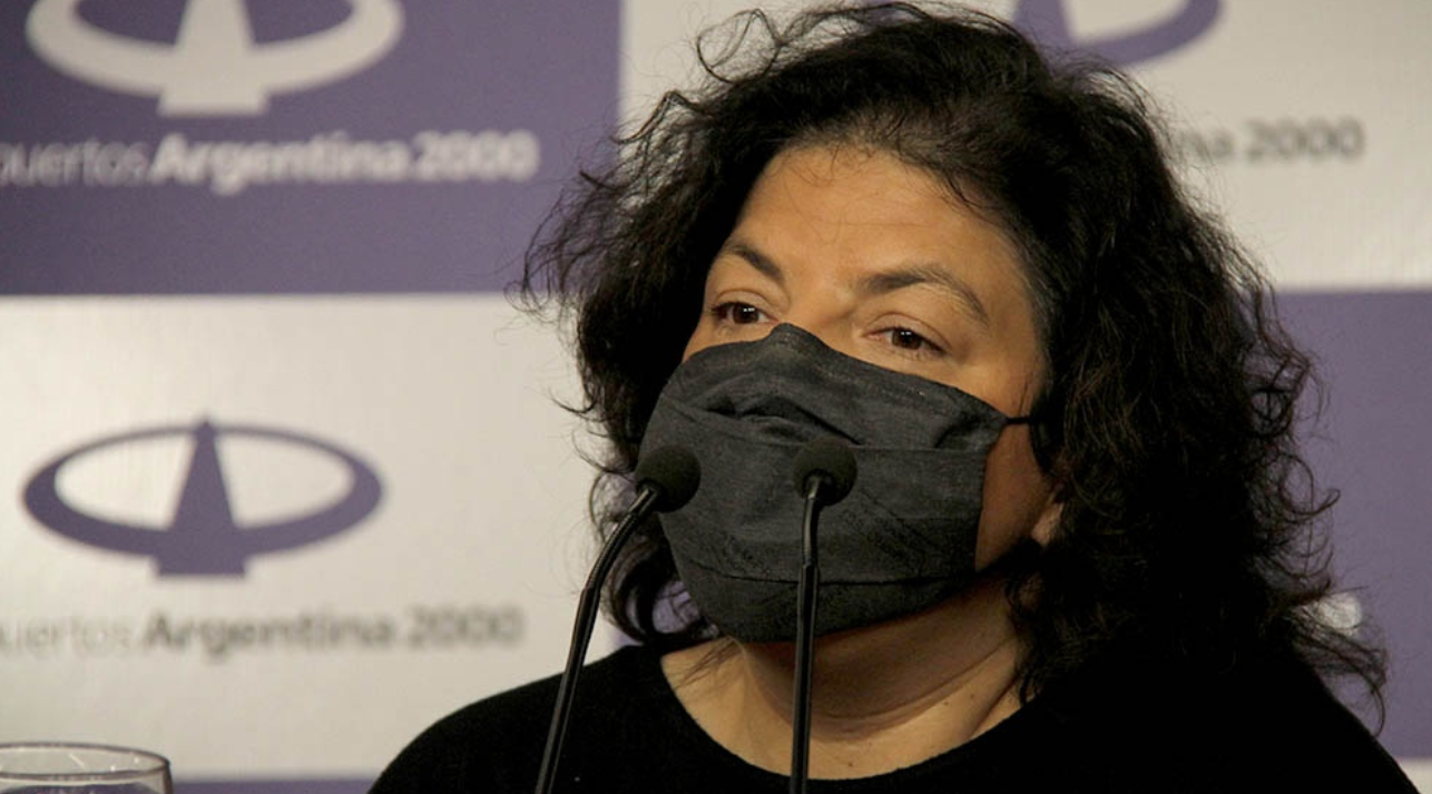 Vizzotti propone cambios para definir los casos positivos de coronavirus | Información General