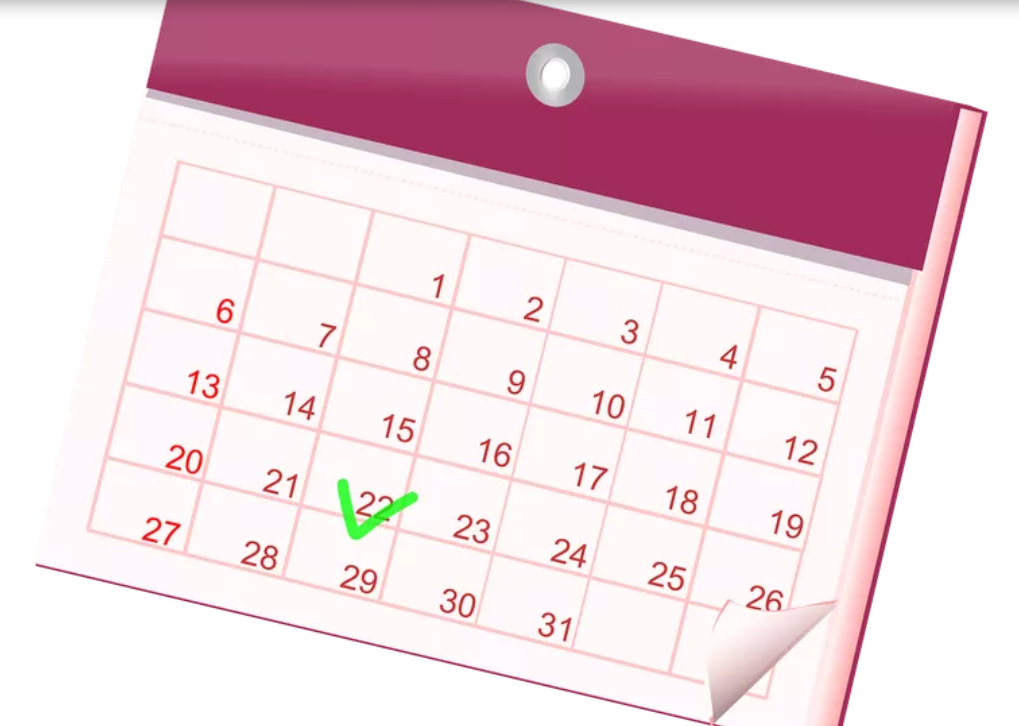 Cuáles son todos los feriados previstos para este 2022 | Información General