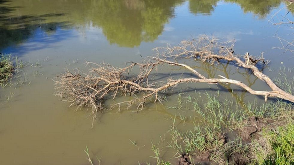 Hallaron ahogada a una nena de 2 años en una represa de San Luis | Información General