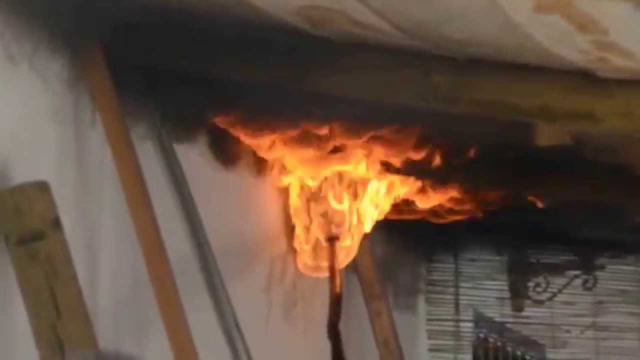 Un hombre quiso incendiar un panal de avispas y el fuego casi le consume la casa | Información General