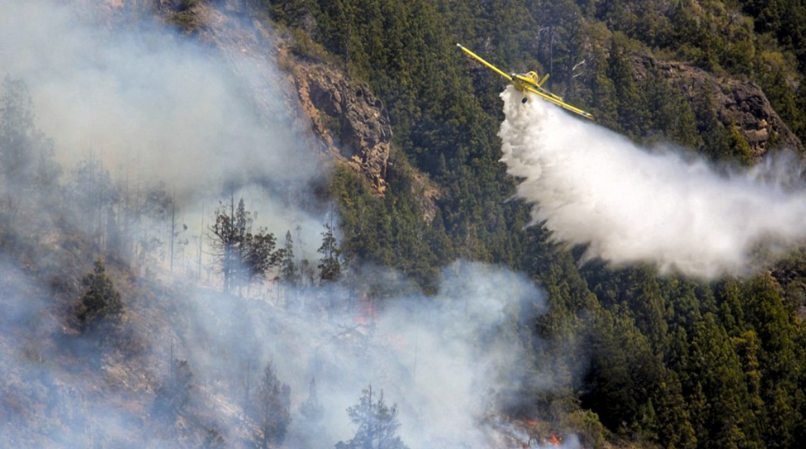 Los incendios forestales no dan tregua: hay focos activos en nueve provincias | Información General