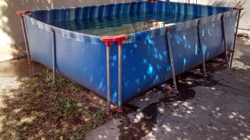 Tragedia en San Juan: una nena murió ahogada al intentar salvar a un gatito | Información General