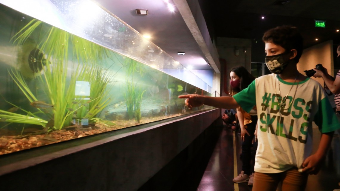 El Acuario del río Paraná tendrá un verano con apertura de martes a domingos con visitas libres y acompañadas | Rosario y la región