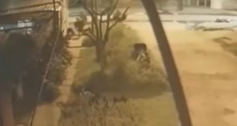 Asesinó a piedrazos a la actual pareja de su exnovia por un televisor | Información General