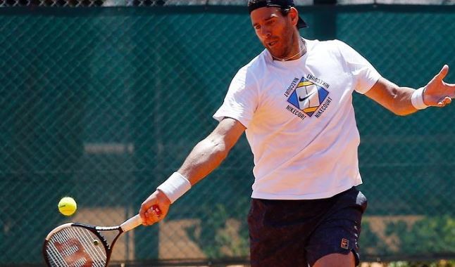 Vuelve "La Torre de Tandil": Juan Martín del Potro jugará el Argentina Open y el Río Open | Deportes