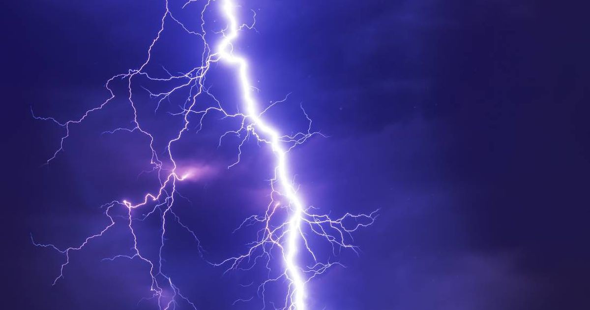 Un "megarrayo", que recorrió Uruguay y Argentina, tiene el nuevo récord mundial de duración | Información General