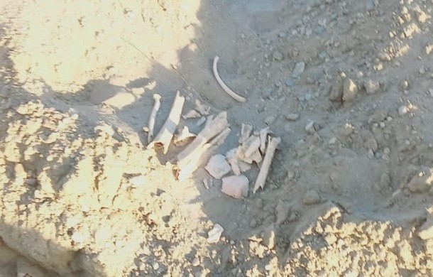 Encontraron restos óseos de unos 60 años: "Serían más de diez cuerpos" | Información General