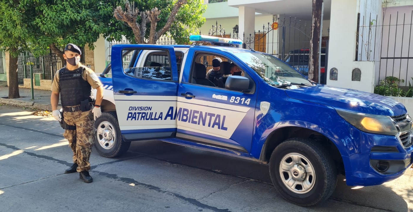 El drama de la mujer que convive con 40 perros y teme ser devorada | Información General