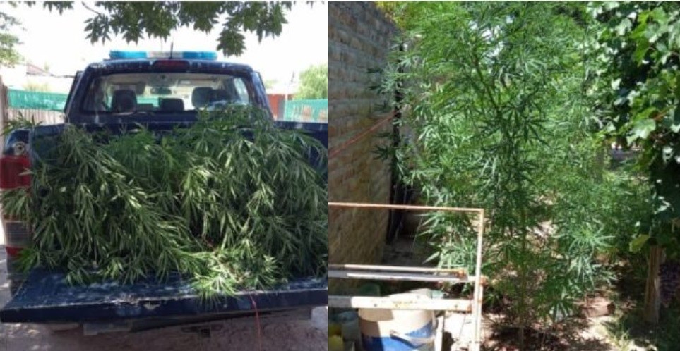 Denunció al vecino por el fuerte olor en su vivienda: qué encontró la Policía | Información General