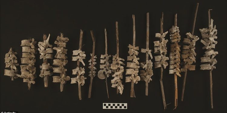 Perú: hallan vértebras enroscadas en postes de tumbas profanadas en la conquista española | Internacionales