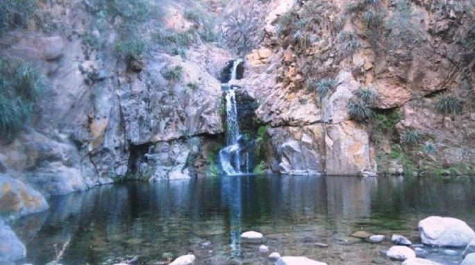 Advierten por algas tóxicas en ríos y lagos de Buenos Aires, Santa Fe, Entre Ríos y Córdoba | Información General