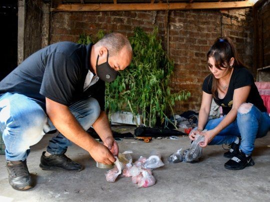 Primeras pericias no detectan fentanilo en la cocaína envenenada | Información General